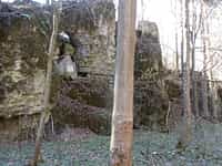 Fotodetail