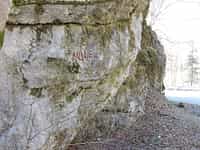 Fotodetail