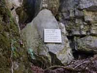 Fotodetail