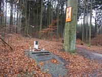 Fotodetail