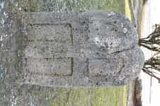 Fotodetail