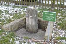 Fotodetail