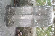 Fotodetail