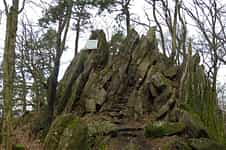 Fotodetail