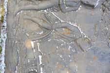 Fotodetail