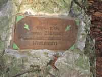 Fotodetail
