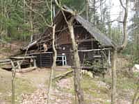 Fotodetail