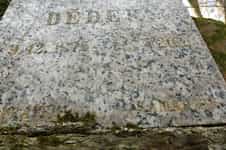 Fotodetail