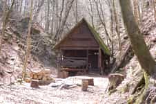 Fotodetail