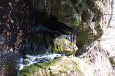 Fotodetail