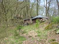 Fotodetail