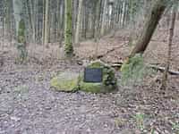 Fotodetail