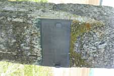 Fotodetail