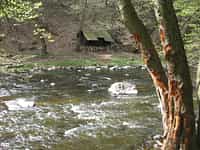Fotodetail