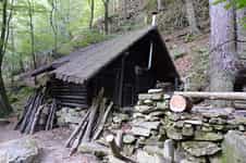 Fotodetail