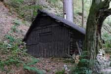 Fotodetail