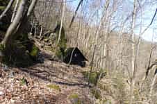 Fotodetail