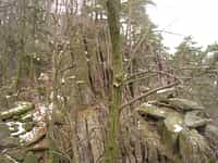 Přechod hřebenem Babího lomu