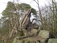 Přechod hřebenem Babího lomu