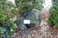 Fotodetail