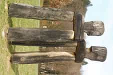 Fotodetail