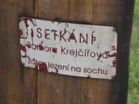 Fotodetail