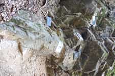 Fotodetail