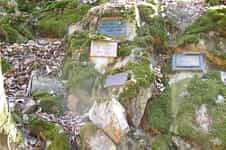 Fotodetail