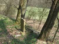 Fotodetail