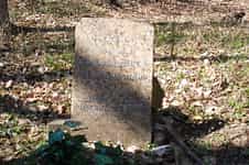 Fotodetail