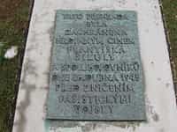 Fotodetail