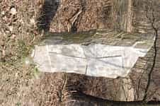 Fotodetail