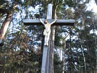 Fotodetail