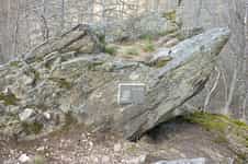 Fotodetail