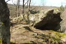Fotodetail