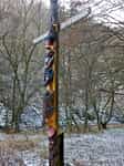Fotodetail