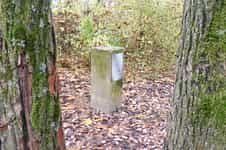 Fotodetail