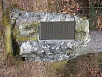 Fotodetail