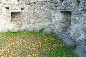 Fotodetail