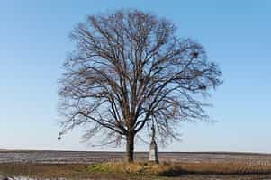 Kříž - Hrdličkův