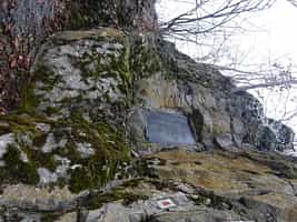 Fotodetail