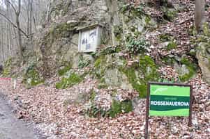 Fotodetail