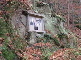 Fotodetail