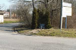 Fotodetail