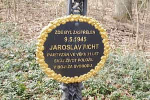 Fotodetail