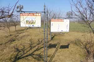 Fotodetail