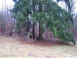 Fotodetail