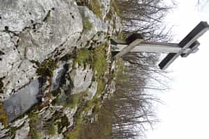 Fotodetail