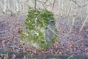 Fotodetail