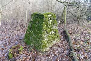 Fotodetail